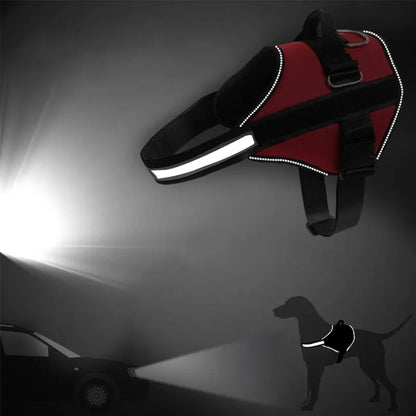 ZenWalk Harnas™ - Gepersonaliseerde No-Pull Hondenriem